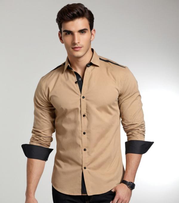 Men Regular Fit Solid Button Down Collar Formal Shirt